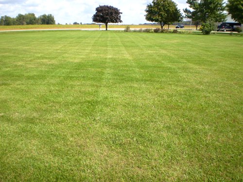 Property photo 13 - 75+/- Acres in 9 Tracts